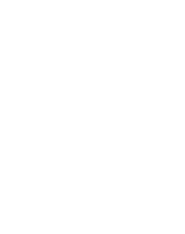 Cavenaugh Media lion logo